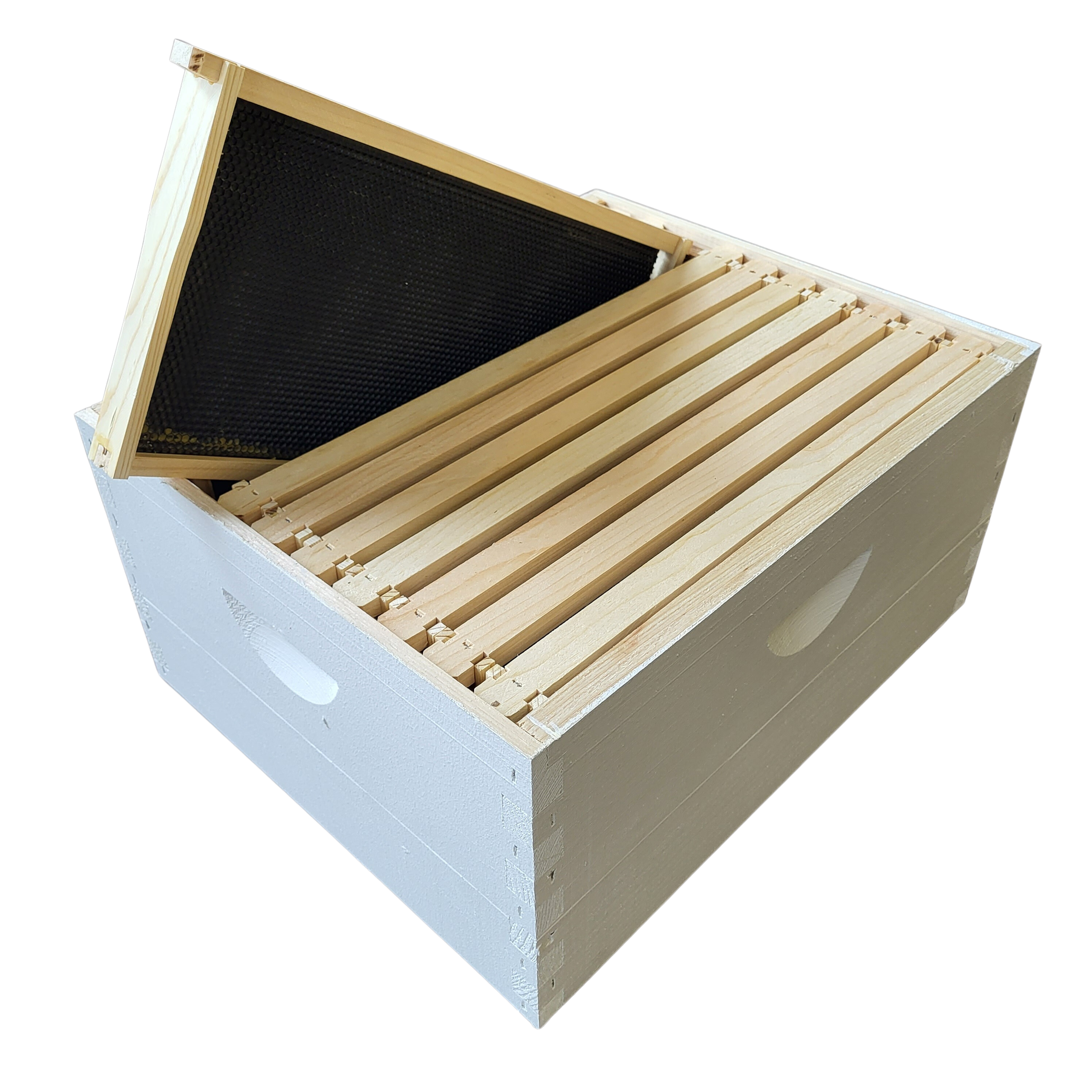 10-Frame Complete, Deep 9 5/8-inch Box with Frames and Foundation