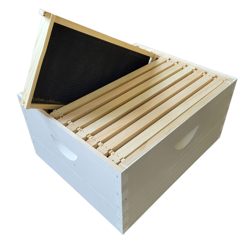 10-Frame Complete, Deep 9 5/8-inch Box with Frames and Foundation