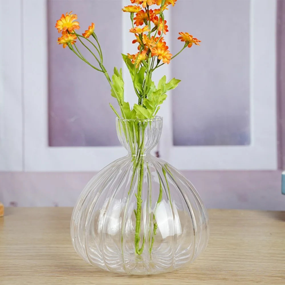 DecorBites™ Avocado Seed Starter Hydroponic Vase